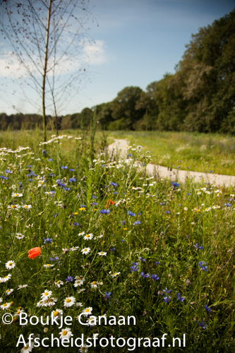 Boukje Canaan- natuurbegraafplaats de hoevens