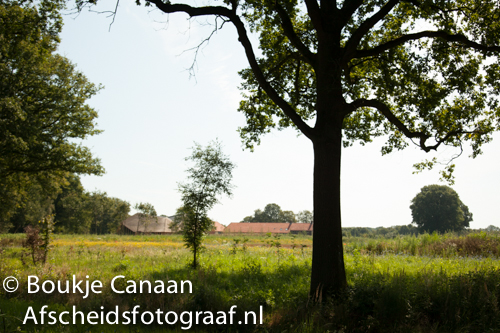 Boukje Canaan- natuurbegraafplaats de hoevens