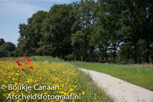 Boukje Canaan- natuurbegraven. de hoevens