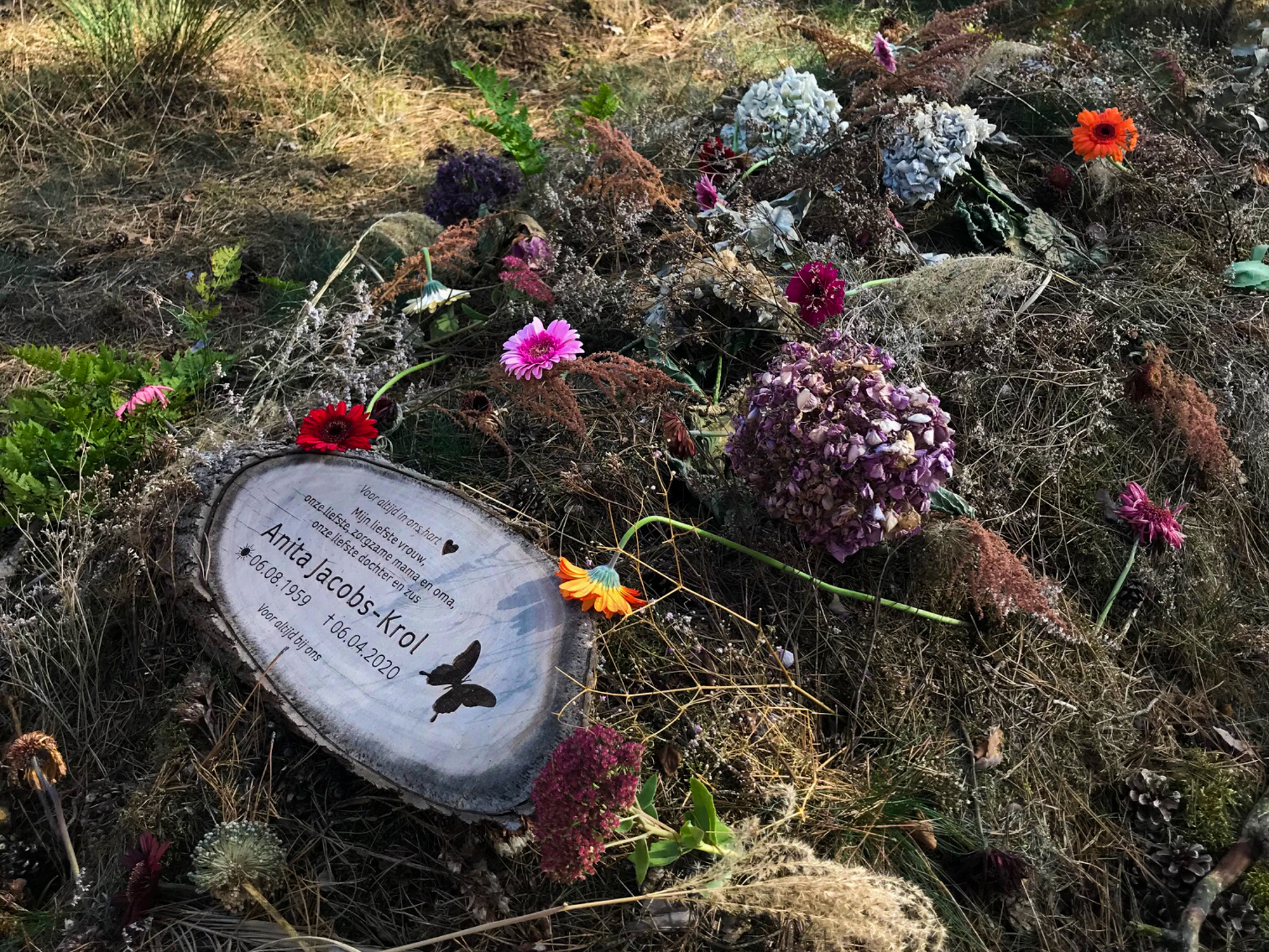 Begraven in  natuurlijke omgeving