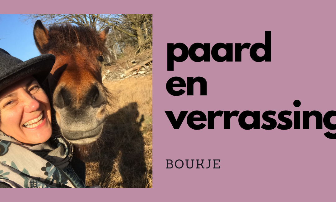 Paard en verrassing